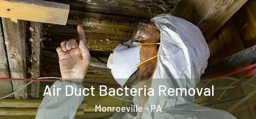 Air Duct Bacteria Removal Monroeville - PA