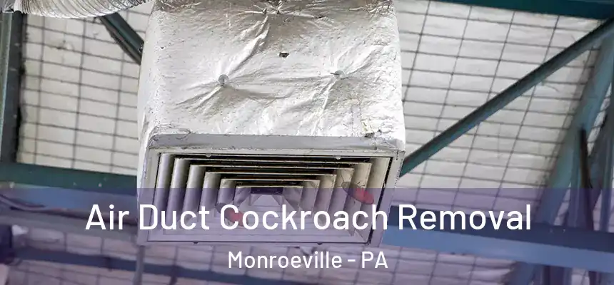  Air Duct Cockroach Removal Monroeville - PA
