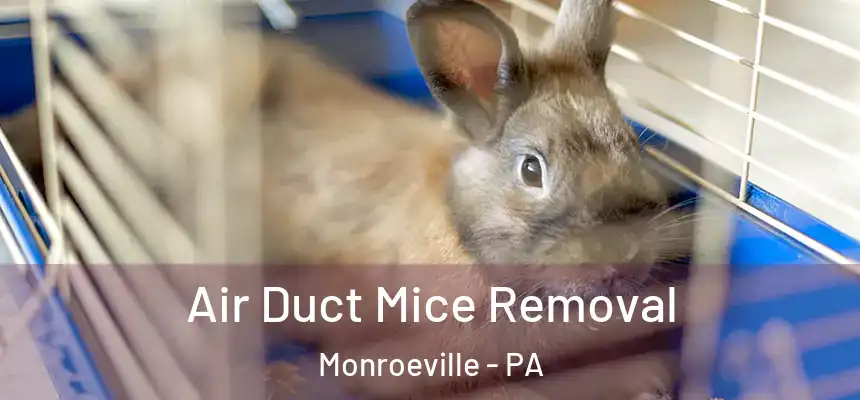  Air Duct Mice Removal Monroeville - PA