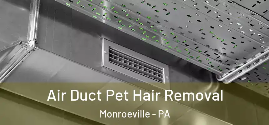  Air Duct Pet Hair Removal Monroeville - PA