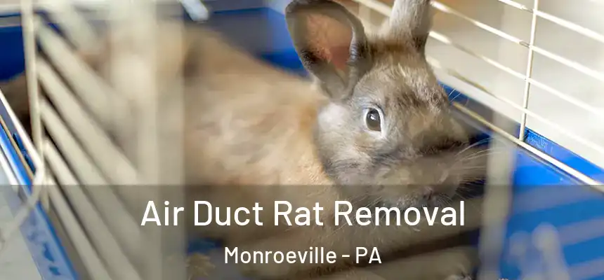  Air Duct Rat Removal Monroeville - PA
