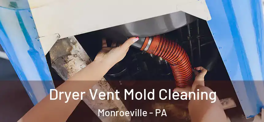 Dryer Vent Mold Cleaning Monroeville - PA