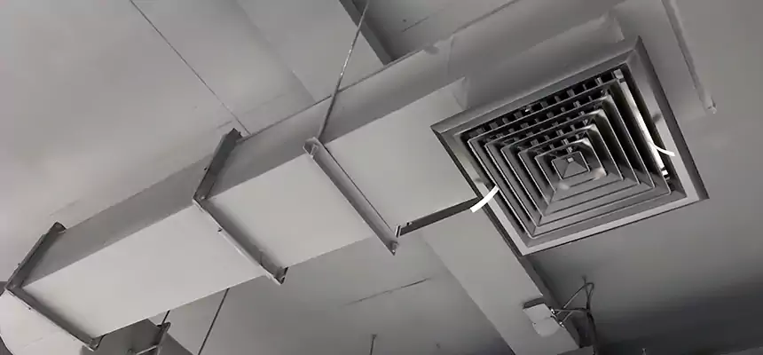 Our Pest Removal From Ducts Services in Monroeville, PA