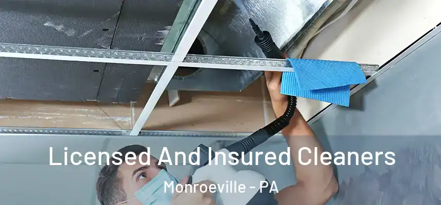 Licensed And Insured Cleaners Monroeville - PA