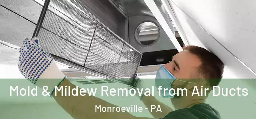 Mold & Mildew Removal from Air Ducts Monroeville - PA
