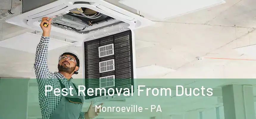 Pest Removal From Ducts Monroeville - PA