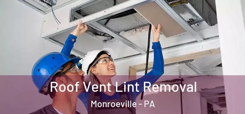  Roof Vent Lint Removal Monroeville - PA