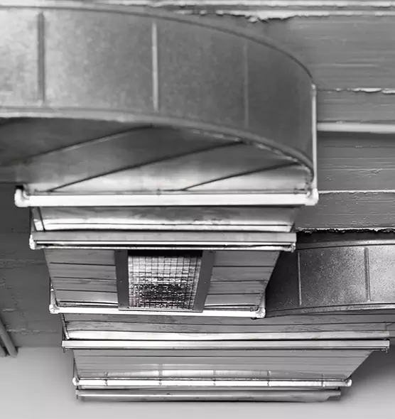 Professional Air Duct Pest Removal in Monroeville, PA